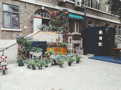 文明从一粒种子开始