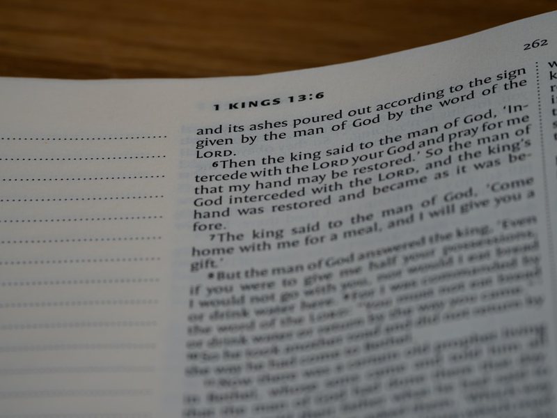 今天这顿饭，简直绝了！