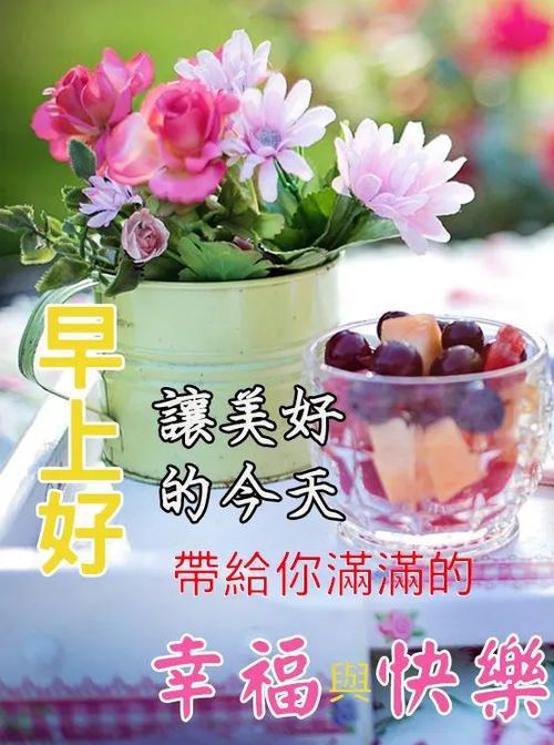 晨光里的爱语 晨光里的爱语