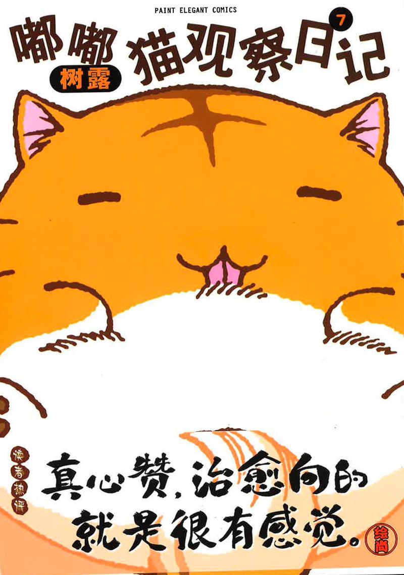 观察日记｜小猫的日常