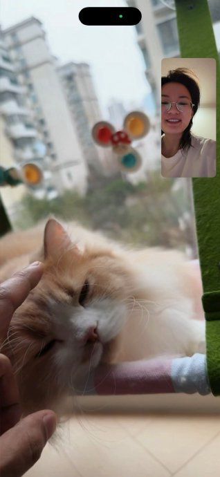 在这个平平无奇的周六,我好像只做了一件事—虚度光阴 在这个平平无奇的周六,我好像只做了一件事—虚度光阴