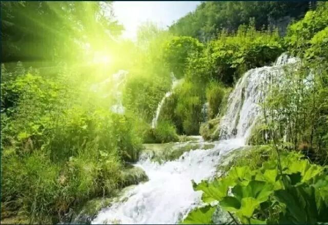 情话的成语·爱的篇章 情话的成语·爱的篇章