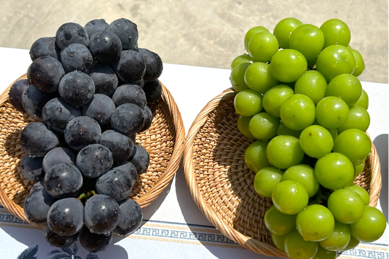 夏日午后，葡萄的甜香…