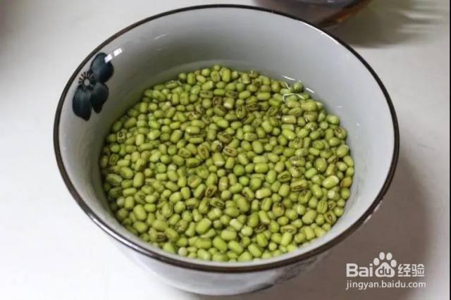 泡绿豆日记·从平凡到期待的奇妙旅程