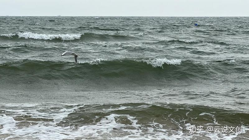 海边的风带走了我的烦恼…