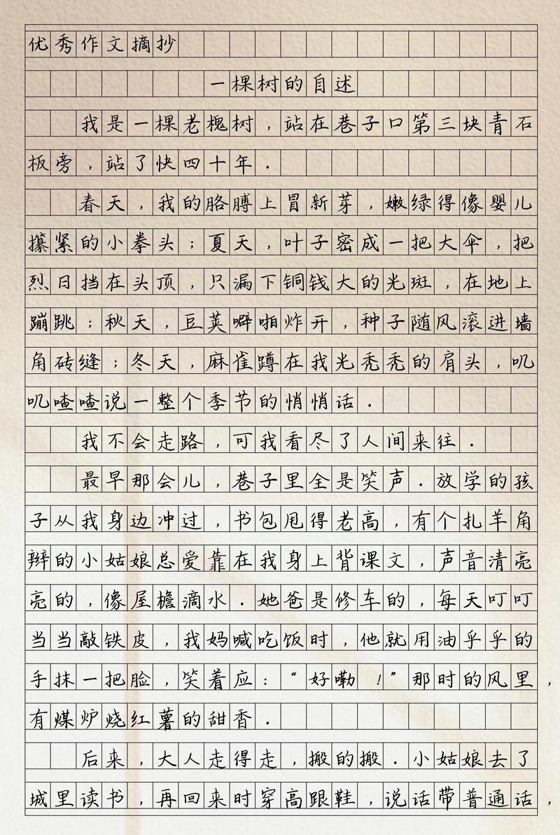 树桩观察日记·今天的风有点大,但猫睡得很香 树桩观察日记·今天的风有点大,但猫睡得很香