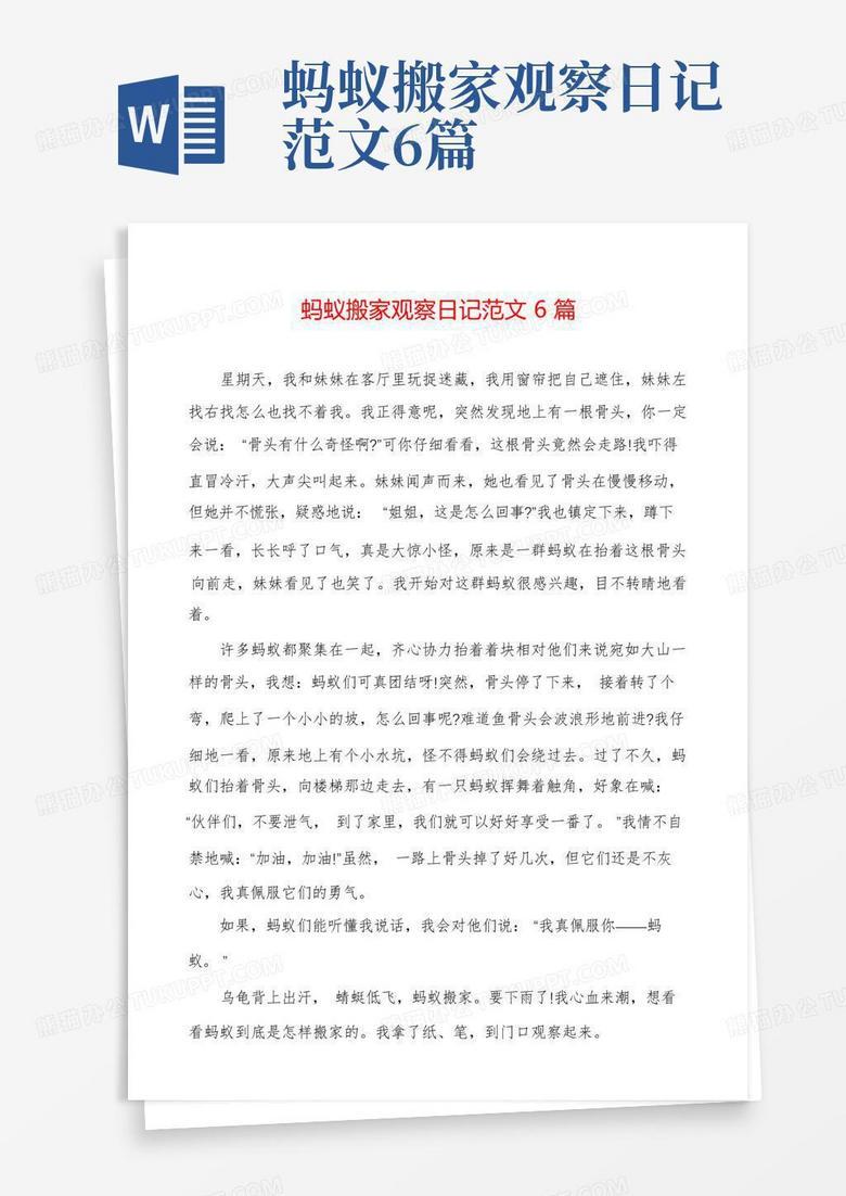 蚂蚁的奇妙旅程…