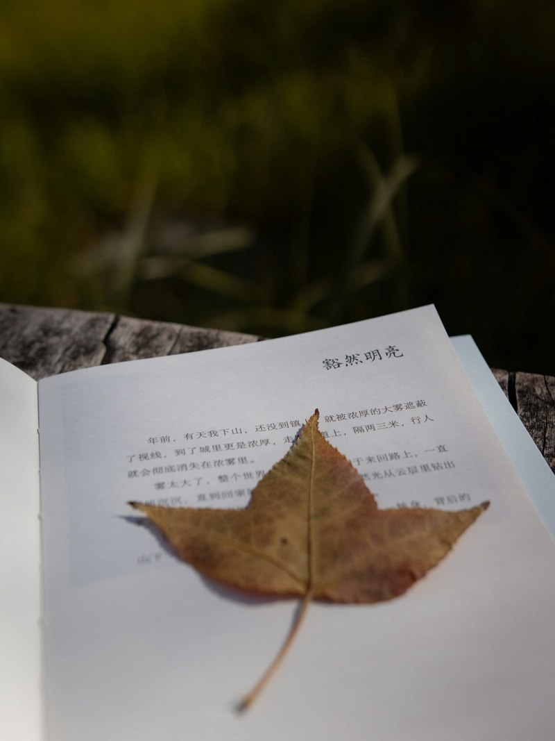 秋日里的小黄花，比人还懂我？