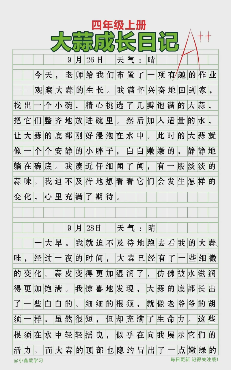 绿豆发芽记|我的第一本观察日记 绿豆发芽记|我的第一本观察日记