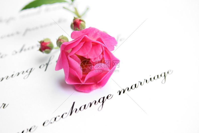 情书日记—爱的笔触，心跳的回响