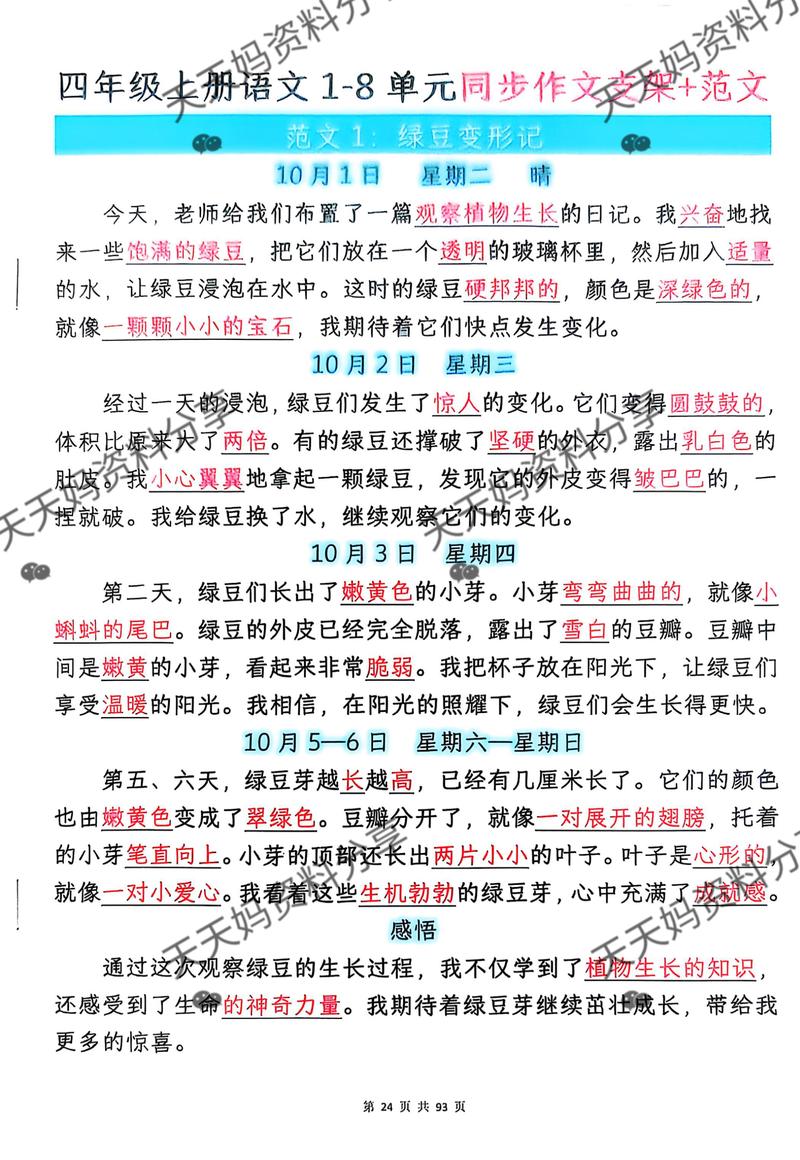 窗外的那棵老槐树…