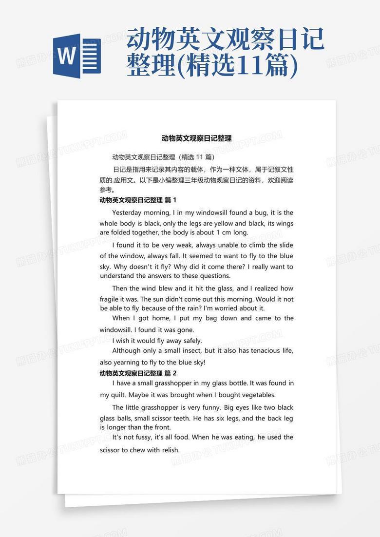 动物日记｜自然界的无声倾诉者