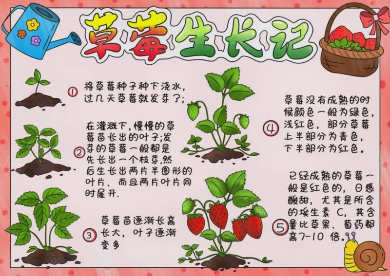 种下的不是树，是明天的影子