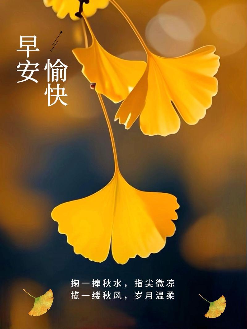 情话微凉丨爱在心间，暖在心头