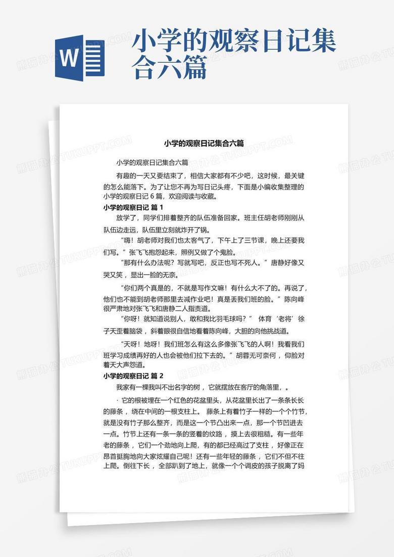 今天的公园观察…