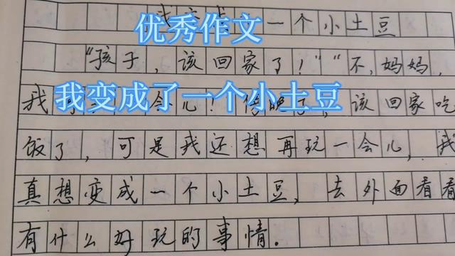 土豆地里的小惊喜! 土豆地里的小惊喜!