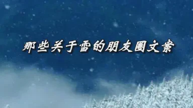 雪落下的温柔丨情话短句大全