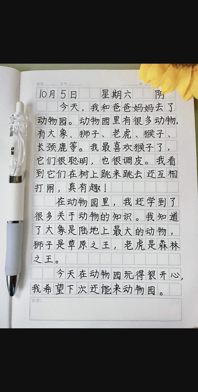 今天我家的猫和我“吵架”了! 今天我家的猫和我“吵架”了!