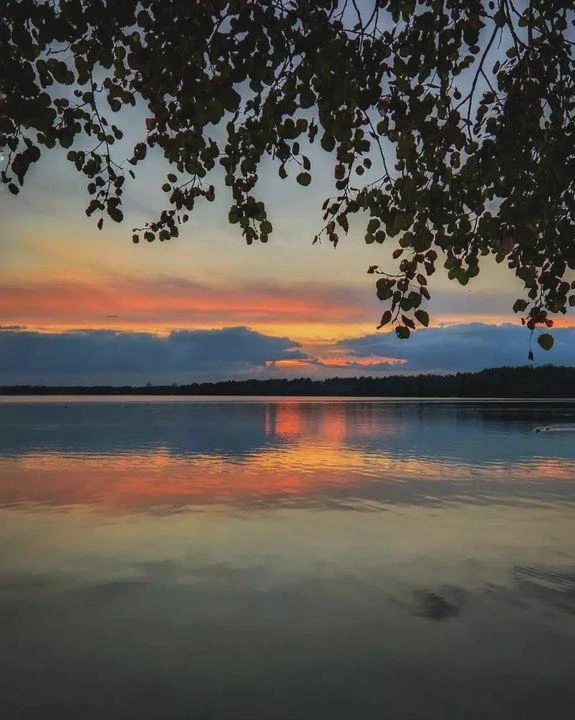 风景里的爱情故事 风景里的爱情故事