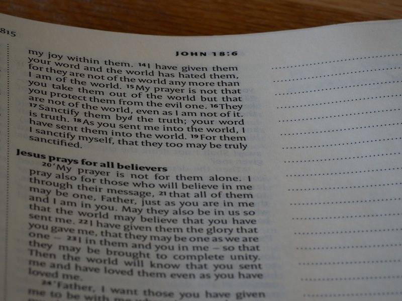 安妮日记的原版语言·文字的力量与记忆 安妮日记的原版语言·文字的力量与记忆