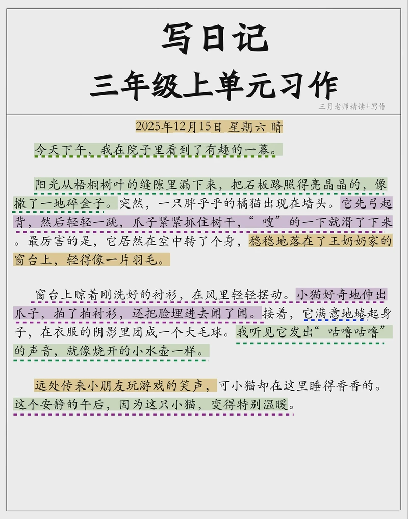 今天我在公园发现了一只受伤的小鸟…