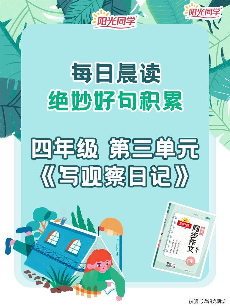 神秘的植物日记丨小绿的秘密 神秘的植物日记丨小绿的秘密