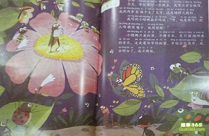 懂懂日记书籍|一本让我重新认识生活的书 懂懂日记书籍|一本让我重新认识生活的书