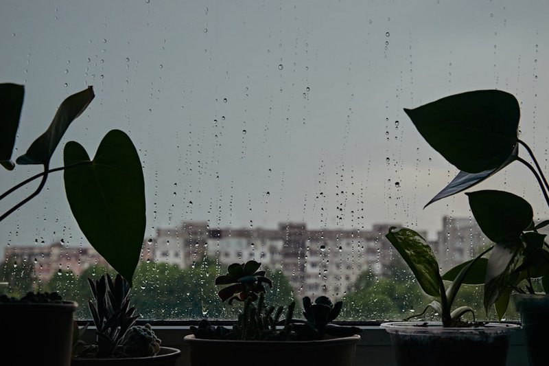 今天下雨了,可我却在想晴天! 今天下雨了,可我却在想晴天!