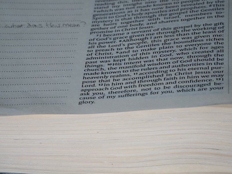 今天，我学会了自理？