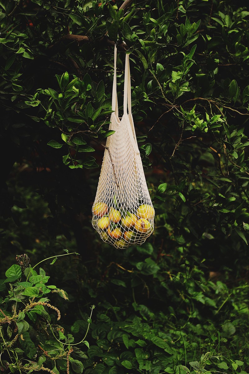 奶奶家的小小天地,心中的温暖角落! 奶奶家的小小天地,心中的温暖角落!