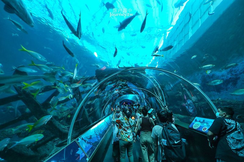 海洋深处的奇妙之旅！