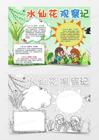 水仙花的悄然绽放