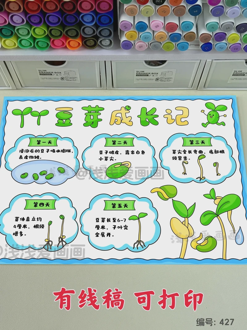 草的观察日记：生命的顽强与温柔