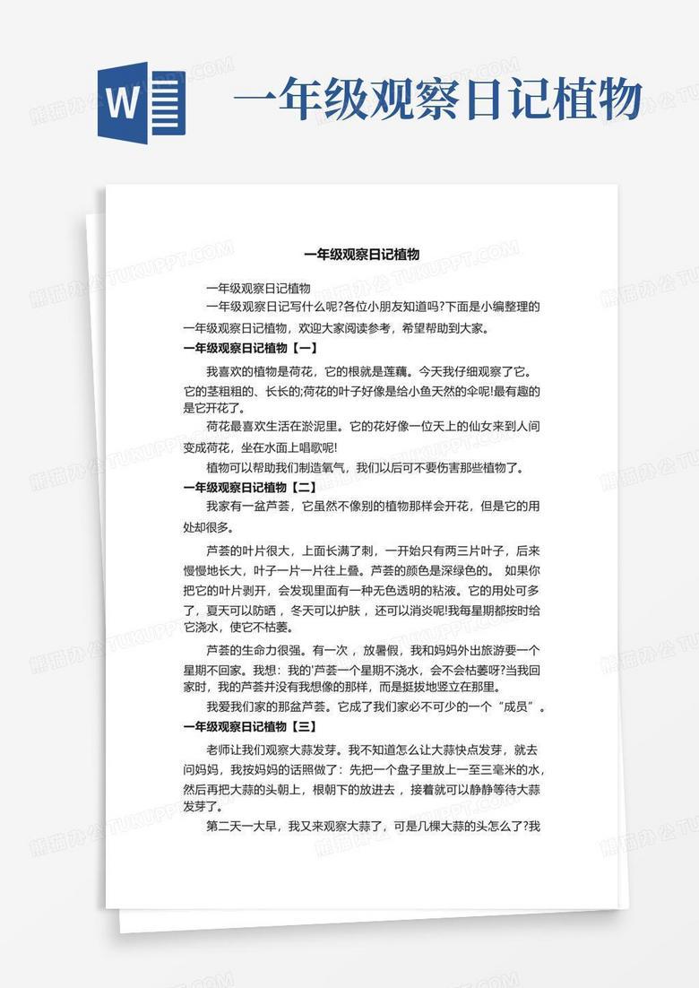 种绿豆的第三天，我终于知道观察日记该怎么写了！