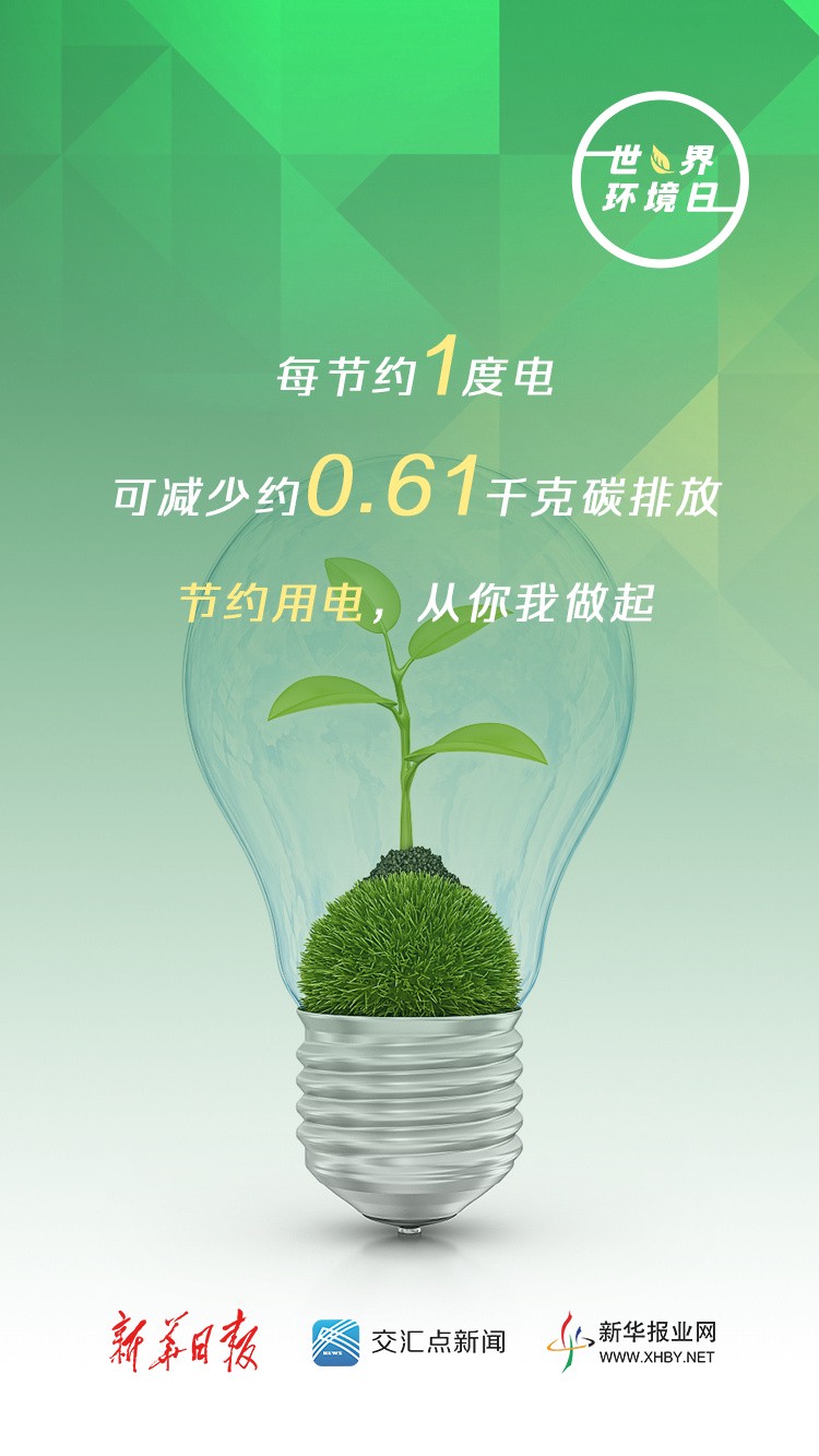 雨后的清新与反思丨守护绿色的承诺