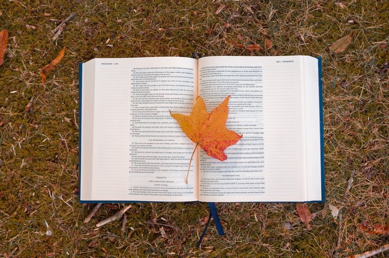 秋日的诗篇·金黄的序章 秋日的诗篇·金黄的序章