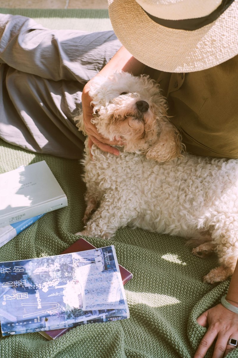 今天我家的“小太阳”又闹翻了天？