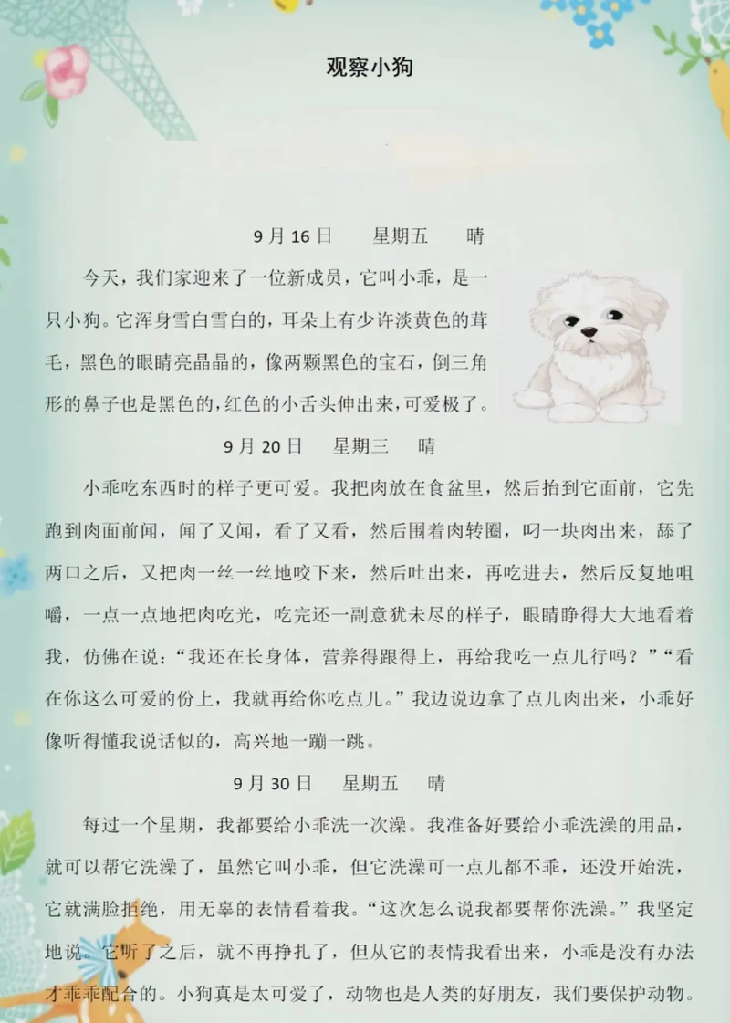 毛茸茸的小麻烦,我的小狗日记? 毛茸茸的小麻烦,我的小狗日记?