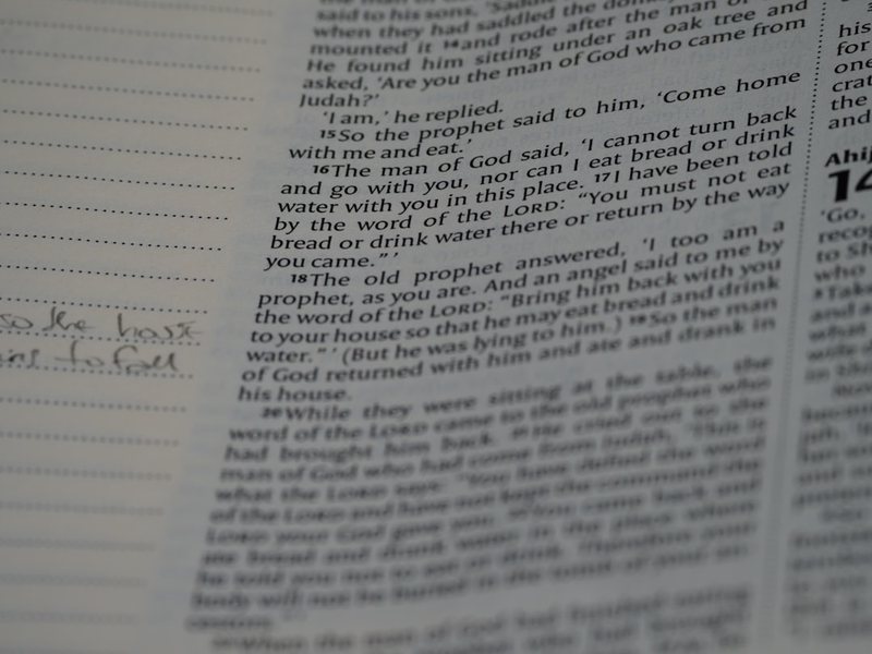 被观察日记支配的恐惧,和那只倔强的蚂蚁? 被观察日记支配的恐惧,和那只倔强的蚂蚁?