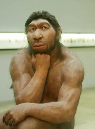 原始人的情话｜用最朴素的真心说爱