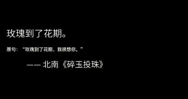 情话只开在耳边，爱意轻拂心间！