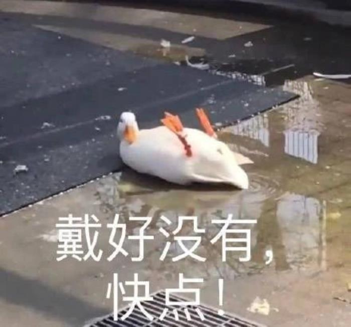 温柔藏在暗处丨那些不油腻却让人心跳的深情话 温柔藏在暗处丨那些不油腻却让人心跳的深情话