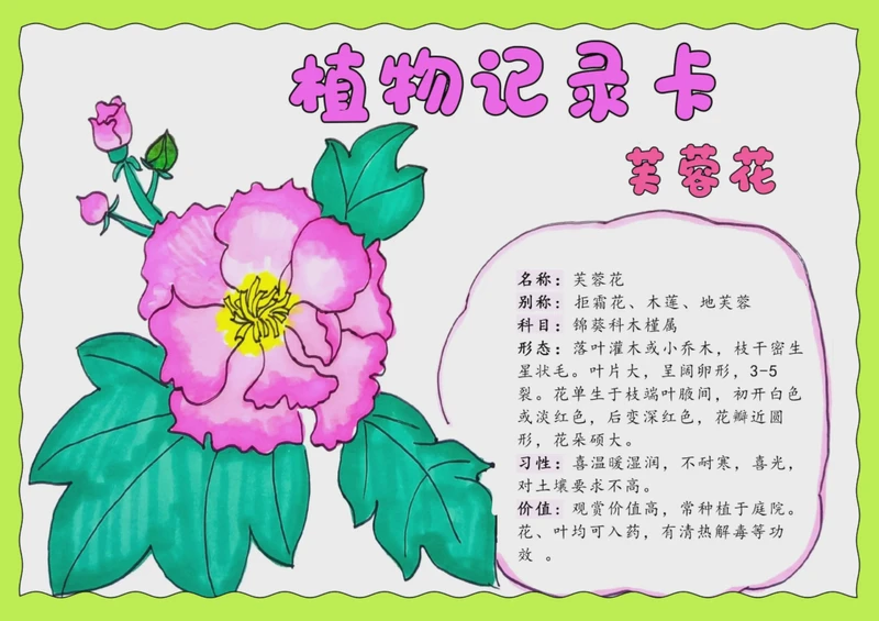 植物观察日记｜生命的细微之处