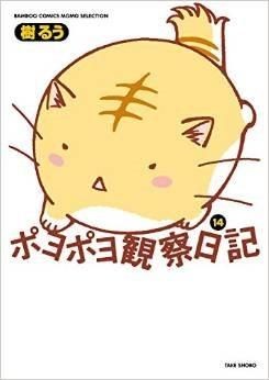 午后阳光下的猫… 午后阳光下的猫…