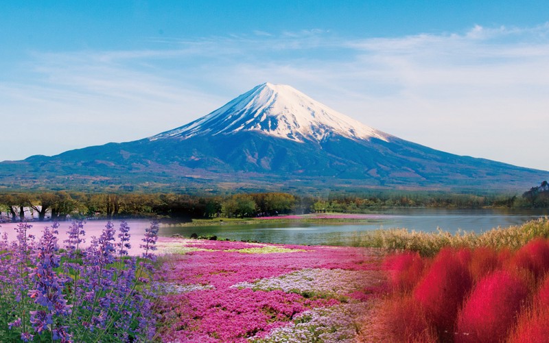 【富士山旅游日记】？