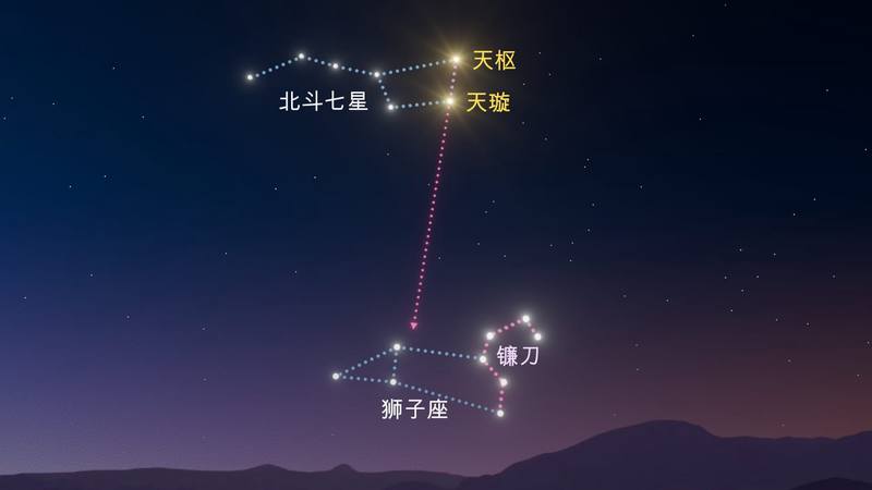狮子座情话丨闪耀的星，温柔的心