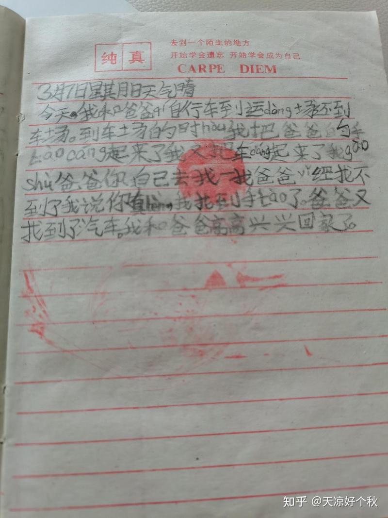 风中的第一次飞翔！