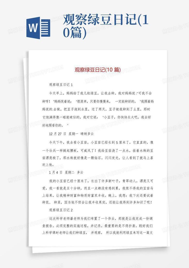 种豆子的第二天？