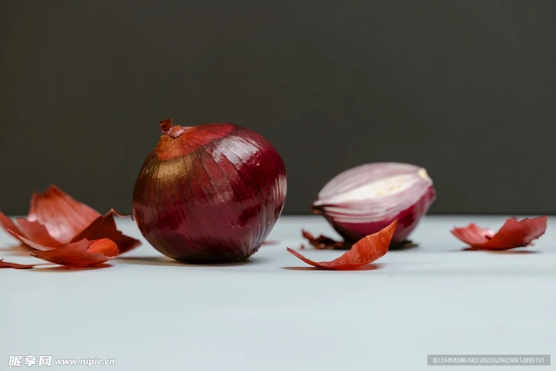 洋葱日记—一颗洋葱的“成长日记” 洋葱日记—一颗洋葱的“成长日记”