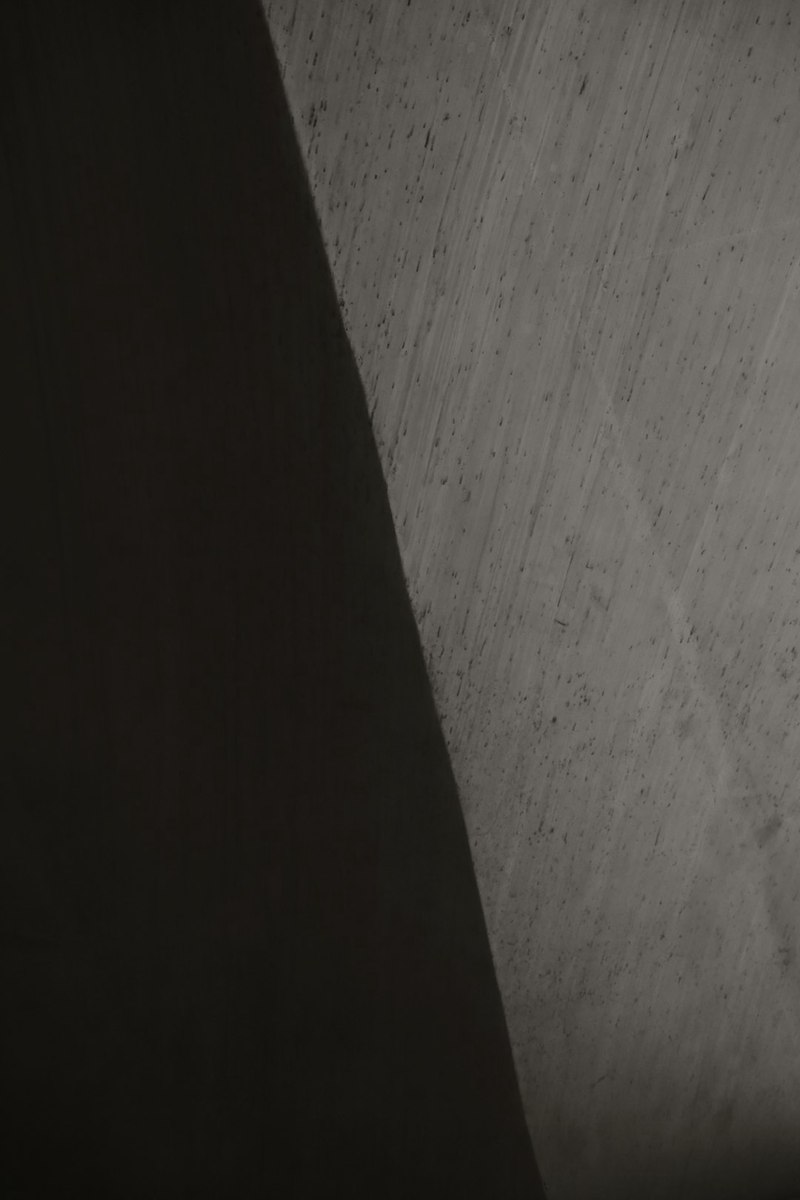 观察日记芦荟 观察日记芦荟